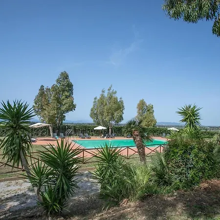 Palmaiola Riotorto