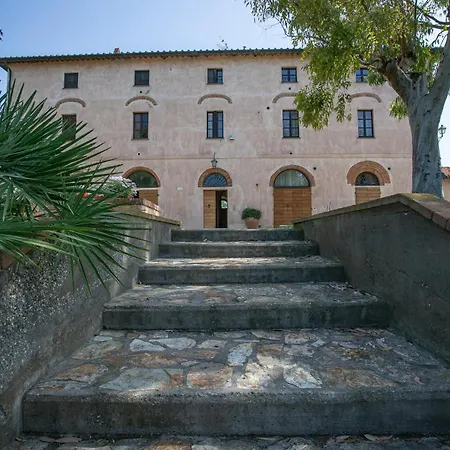 Palmaiola *