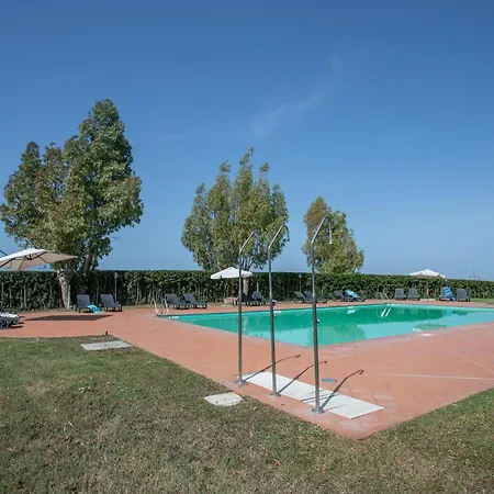 Palmaiola *