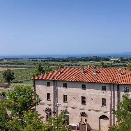 Palmaiola Riotorto